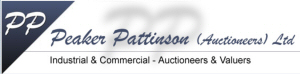 auctioneer logo